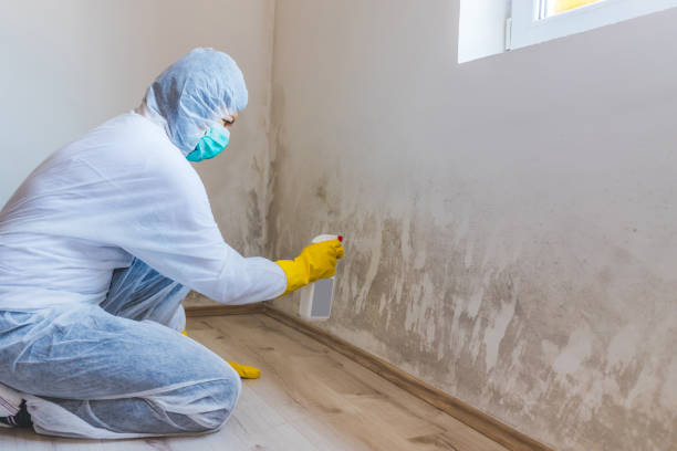 Crawl Space Mold Removal in Lakeshore, LA