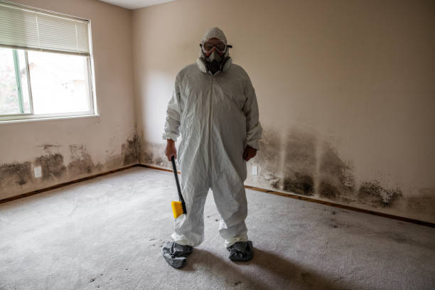 Best Office Mold Removal Services  in Keshore, LA