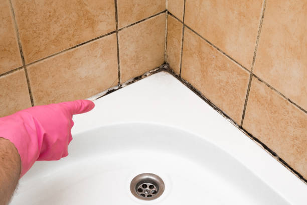 Best Toxic Mold Removal  in Keshore, LA
